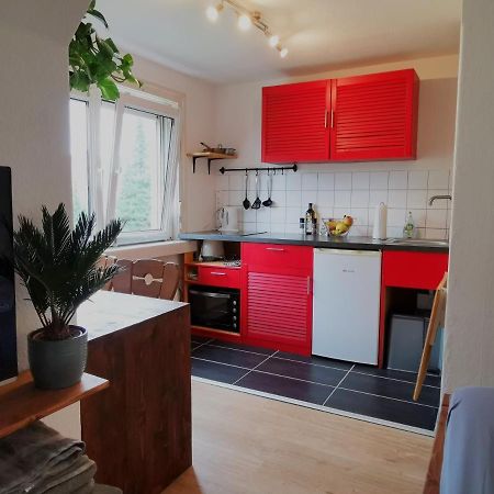 Modernes kleines Studio am Uni-Campus - Perfekt für Junge und Unternehmungslustige Dresde Exterior foto